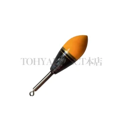 Alternative view of T・D12